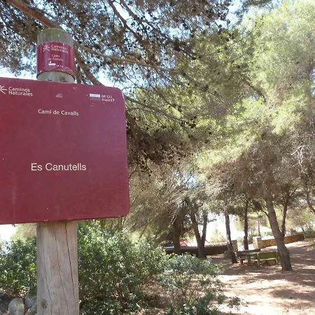 Jaume 6 *